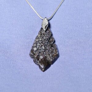 Sculpted Blue Dinosaur Gembone Necklace